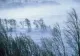 Vremea 15 decembrie - Intensificări puternice de vânt cu viteze de peste 100km/h