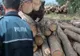 Lemne transportate de doi şoferi din Turţ, confiscate de poliţişti