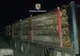 Bărbat din Maramureş prins de poliţiştii din Valea Vinului cu material lemnos fără documente de provenienţă