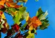 Prognoza meteo pe o lună: Septembrie cu vreme capricioasă