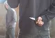 Minorul care săvârșește fapte penale, dar nu răspunde penal, şi părinţii acestuia, obligaţi să participe la programe speciale de consiliere psihologică