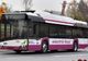 Primăria Satu Mare va cumpăra 20 de autobuze hibrid