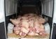 Sute de kilograme de carne de porc confiscate de polițiștii de frontieră