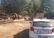 Polițiștii au confiscat peste 240 mc de material lemnos și au aplicat amenzi de peste 6.000 lei
