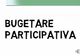 USR Satu Mare vrea buget participativ: cetățenii să decidă cheltuielile!