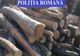 Material lemnos confiscat de polițiștii sătmăreni