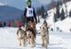 Daniel Tentiș, câștigător la concursul de sănii trase de câini - Drumul Romanilor 4.0