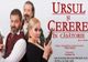 Comedia romantică - Ursul și cerere în căsătorie - a trupei Teatrului „Regina Maria” din Oradea, la Carei