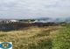 FOTO | Incendiu de vegetaţie la ieşire din Negrești-Oaș